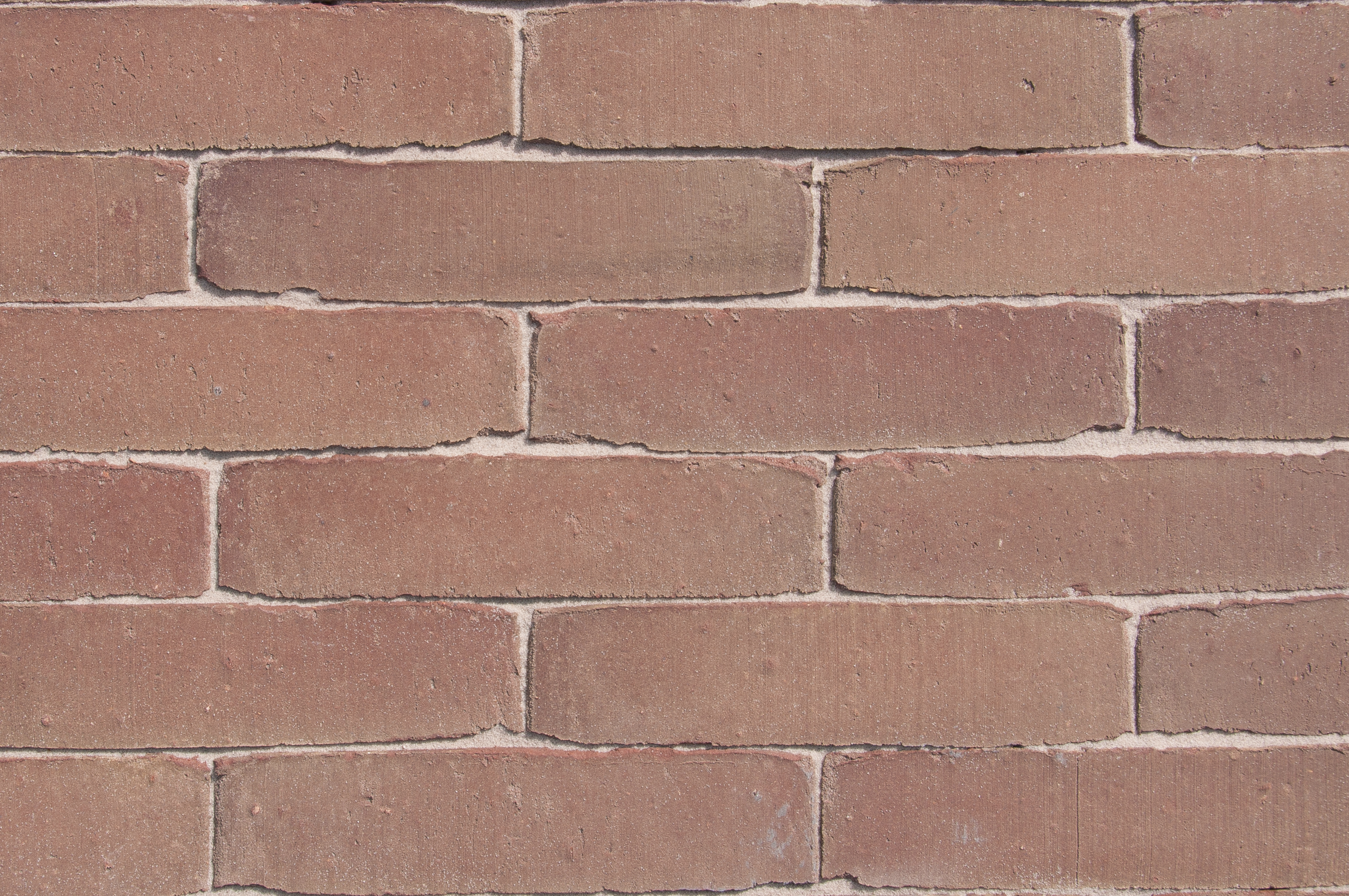 SeptimA SeptimA Amarant