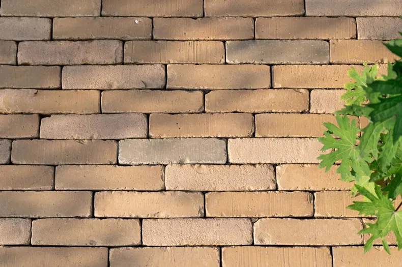 NEU: SeptimA Camargue: gelb-grauer Mix mit grünen Akzenten.