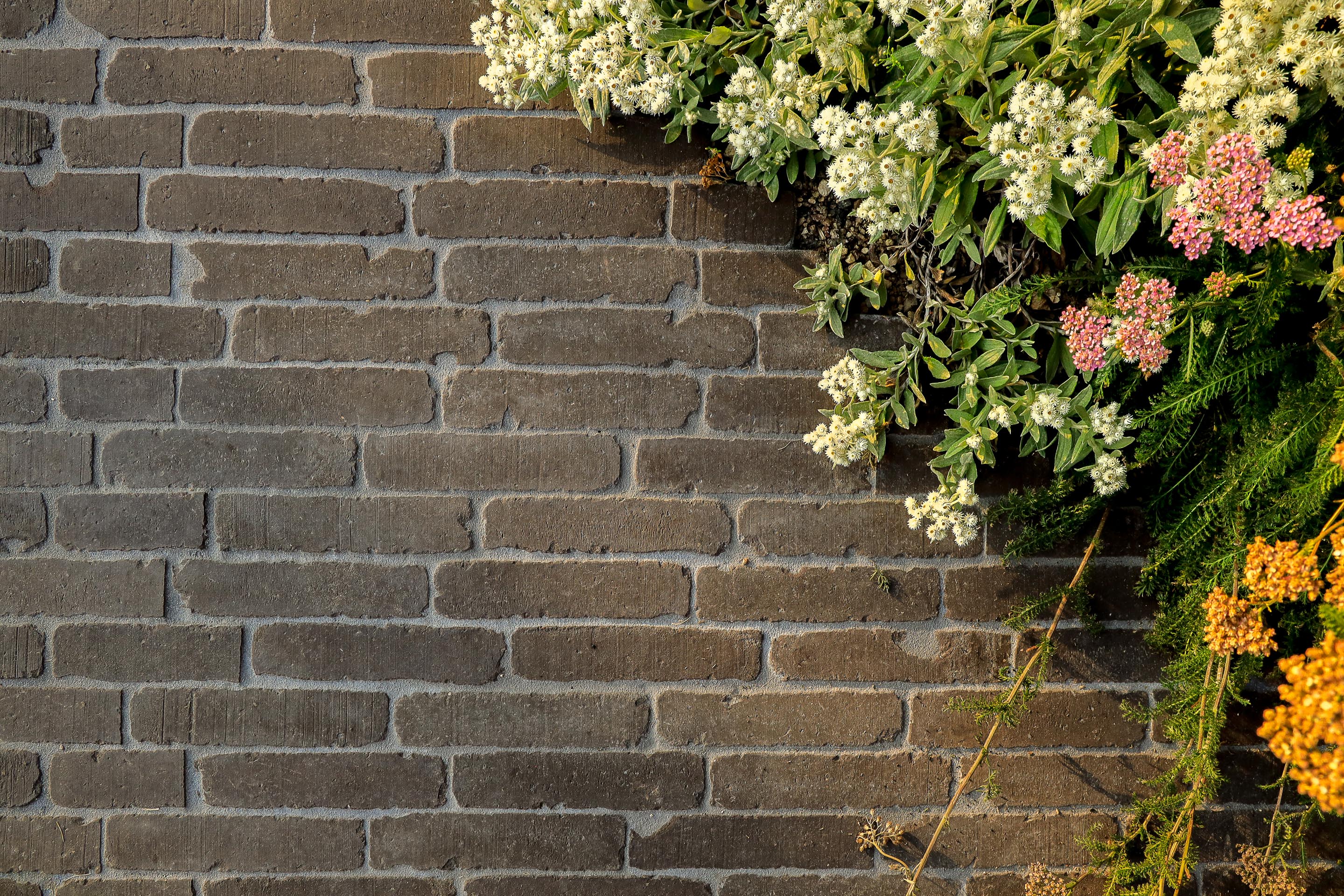 Een ode aan authenticiteit en duurzaamheid in beleeftuin met SeptimA kleiklinker