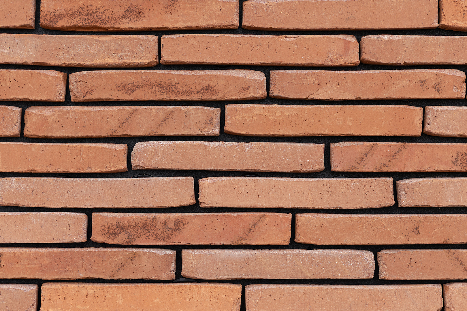 vandemoortel.Dto.CollectionDto linea 2012